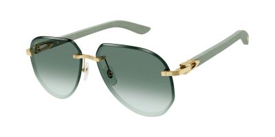 Cartier CT0440S 005